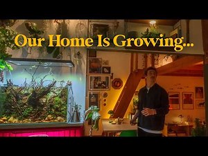 Cozy Home Update 🌿 | Plant Projects, Aquarium Care & Loft Vibes