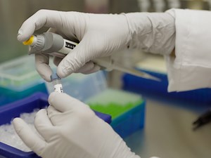 In Vivo Study of Human Endothelial-Pericyte Interaction Using the Matrix Gel Plug Assay in Mouse