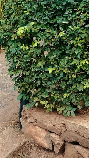 Discover Self-Love Through Unique Modeling Tips