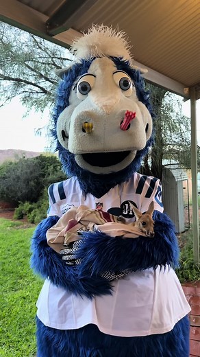 FOUND A JOEY | Cute Baby Kangaroo