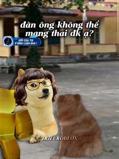 Vai gãy :)) #trieuroblox (cre: ZCLE ) #memes #hai #cheems #xh