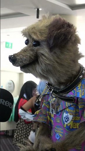 WHO IS YOUR FAVOURITE BLUE PETER PRESENTER? #bluepeter #comiccon #interview