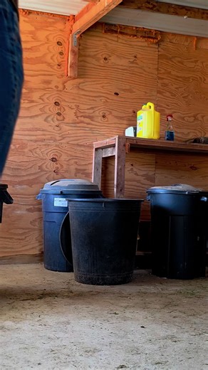 Red Farmgirl (@bush.gone.wild)’s videos with original sound - Red Farmgirl