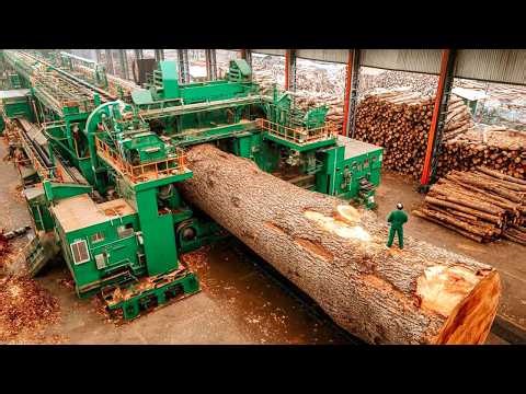 Inside Billion Dollars Lumber Sawmill: How Massive Logs Are Turned Into Perfect Boards of Timber