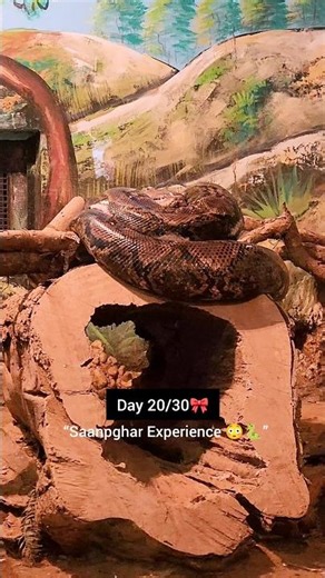Patna Zoo Snake House Mini Vlog 3 Hours Full Tour