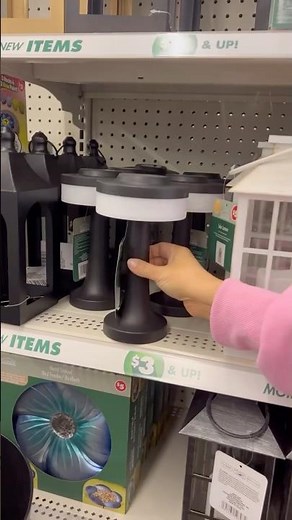 New outdoor finds in the Dollar Tree Plus section #dollartree