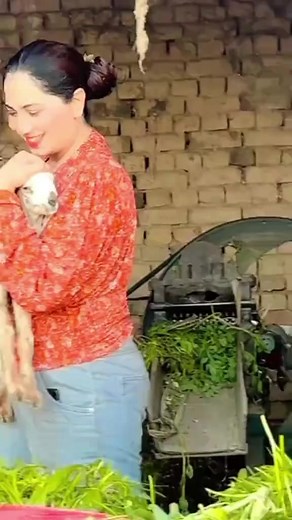 Punjabi Song Highlights from Mehak Malik at Shaheen Studio