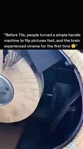 sci || tech || history on Instagram: "At first glance, this moment can look shocking—but it’s actually one of nature’s most beautiful parenting behaviors. 🐟💙 This is a mouthbrooding fish, and she’s not eating her babies—she’s protecting them. In mouthbrooding species, the parent (often the mother, sometimes the father) carries fertilized eggs and tiny fry safely inside the mouth. When danger approaches or currents get rough, the babies rush back inside for shelter. Once it’s safe, the parent g