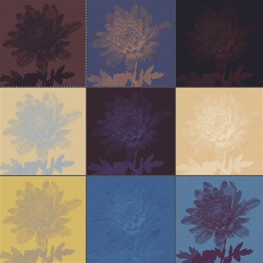 Jacquard Weaving Textile CAD AI The World's Best Textile Software for Textile Designers | Pointcarre