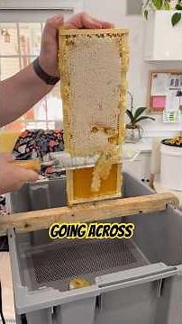 Learning how to extract honey #beekeeping #beekeeper #apiary #backyardbees