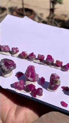 335 Carat Ruby Specimens from Afghanistan for 1200$ #gemstone #ruby #trending #shorts