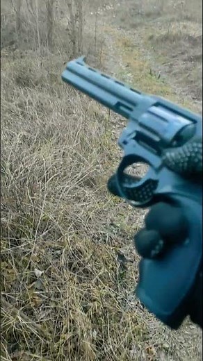Why the Colt Python is Worth the Hype