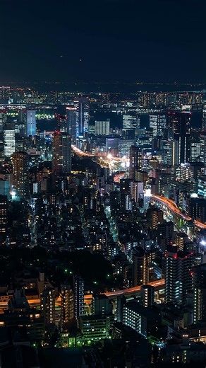 Tokyo 4K Aerial | Scenic Travel