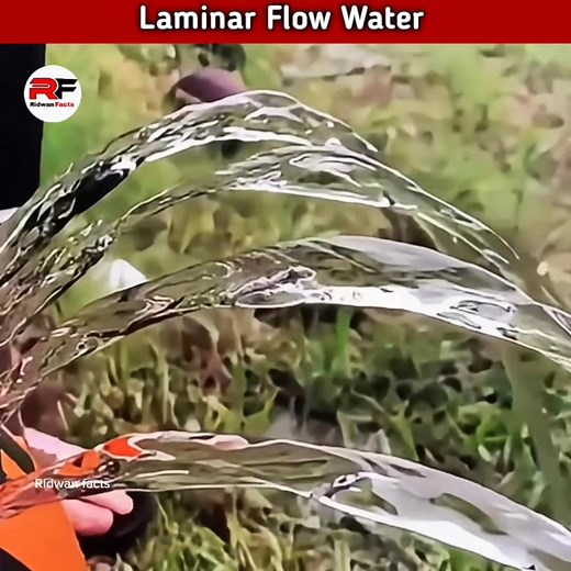 How laminar flow water works? laminar flow facts #shorts #new #viral #trnding #facts #experiment #viralvideoシ #knowledge #entertainment #ridwanfacts | Ridwan Facts