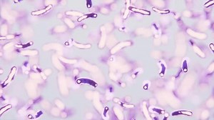 Probiotic Lactobacilli Under Microscope Floating Bacteria 库存影片视频（100% 免版税）1111344633 | Shutterstock