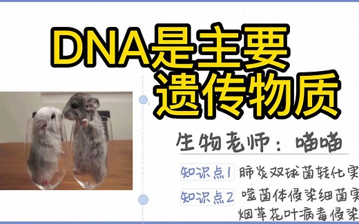 【高中生物必修二】DNA是主要遗传物质知识点|0基础救星~