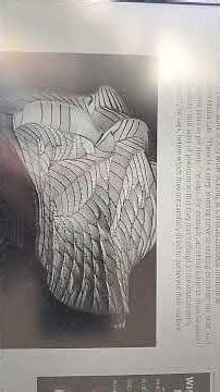 The hidden beauty of the microscopic world #microscope #beauty