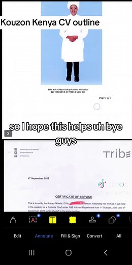 Kouzon Kenya Cruiseship CV Outline