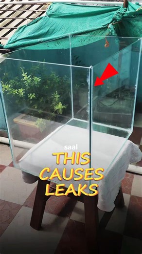 This Mistake❌Cause Tank Leaks ||#aquarium #plantedtank
