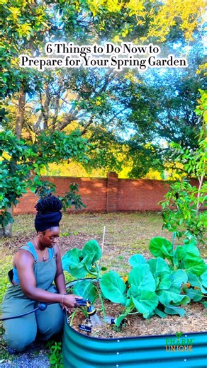 Getting ready for spring gardening starts long before planting day. Here’s what to focus on now so you’re set up for a thriving garden: 1. Find Your Last Frost Date This determines when it’s safe to move tender plants outside and sets the foundation for your whole spring schedule. 2. Take a Garden Class Whether you sign up through your local extension office or take an online course, learning from experienced gardeners can give you valuable skills. Classes can help you understand soil, pests, pl