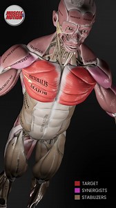 125K views · 1.6K reactions |  Push-Ups Like You've Never Seen...