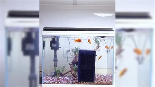 Filter Cube 2.0 - Die nächste Generation, Filter Cube aktivkohlefilter Pferd, Filter Natur Würfel, Aktivkohle Filterwürfel, Wassertrog Purifier Cube Für Aquarium, Teich, Tränke (3 PCS-Blau)