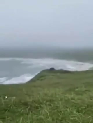 He was a man who was spending time with his dog, when his camera caught something that no one could explain.