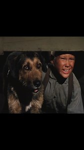 Shane (1953) #westernmovies | Classic Western Movies