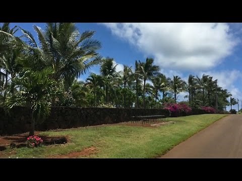Zuckerberg builds controversial wall in Hawaii