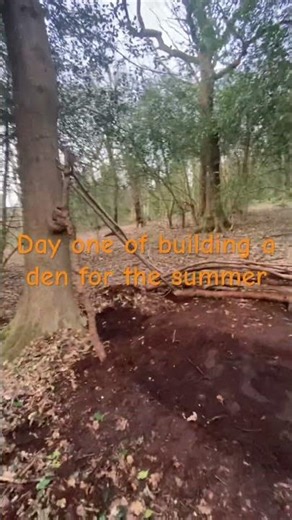 Day one of building a den for the summer