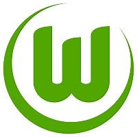 VfL Wolfsburg set to appoint Dieter Hecking as new head coach