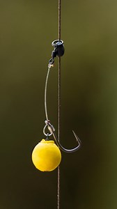 The Chod Rig 🧐 Cast it anywhere and almost guarantee presentation… the Chod Rig is a favourite of @alanblairurbanbanx’s for a reason! This time of year, getting a rod on any show you see can be the difference between a blank and a result and the Chod Rig gives you the confidence to do exactly that. Fast, reactive, and most importantly… presented! 😉🎣 #NashTackle #ChodRig #MakeItHappen | Nash Tackle