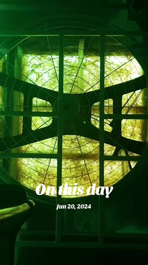 Aster Green Bird on TikTok