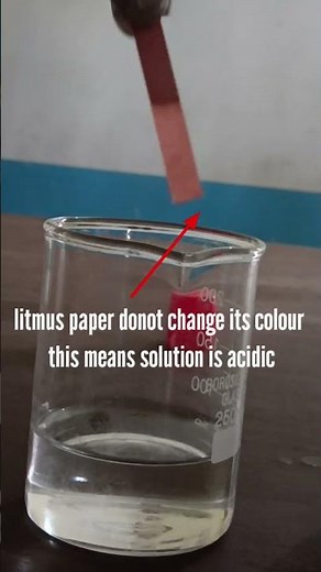 New experiment | Litmus paper test for acid and base #activity #experiment