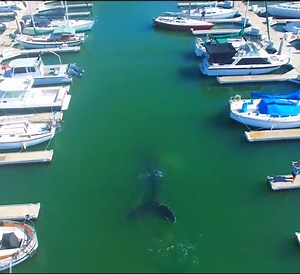 145K views · 2.5K reactions | Wow :O <3 | Bing.Ge Around The World | Facebook