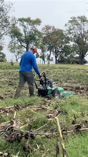 Clearing a Sunflower Farm for Winter | Navy Veteran Uses BRUSH HOG to Cut Through Brush