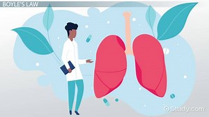 Inspiration vs. Expiration Breathing | Cycles & Muscles