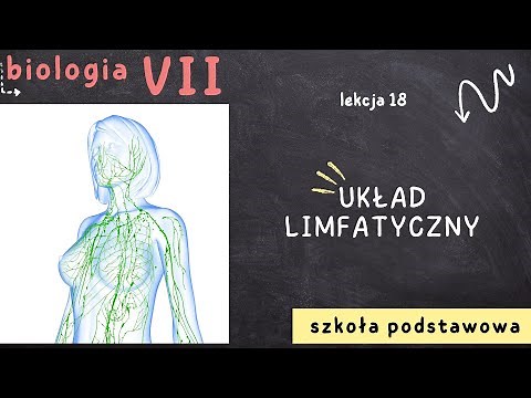 Biology 7 [Lesson 18 - The Lymphatic System]