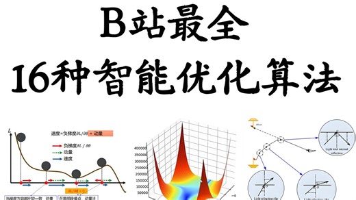 B站最全智能优化算法课程，模拟退火算法，粒子群算法，遗传算法等16种优化算法_机器学习_深度学习_人工智能