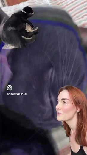 I just wanna be ᵗⁱⁿʸ