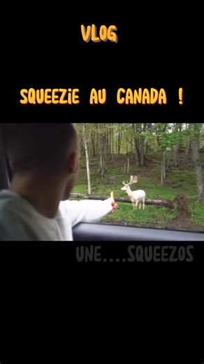 vlog de Squeezie au canada ! 🌟 #fandesqueezie #squeezos #squeezie #viral #foryou #fryp #pourtoi @squeezie