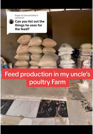 Replying to @Eronxshaddy Feed production in my uncle’s poultry. #LayerFarming #EggProduction #PoultryBusiness #ChickenFarming #FarmLife #PoultryCare #AgroBusiness #PoultryFarmers #SustainableFarming #PoultryManagement #FarmToTable #PoultrySuccess #ModernFarming #PoultryIndustry #FarmFreshEggs #PoultryTips #AgricultureLife #FarmingCommunity #PoultryWealth #Viral #ForYou #TrendingNow #FYP #MustWatch