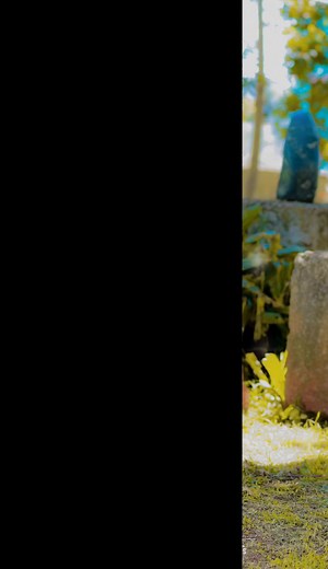 #CapCut #varezamytan