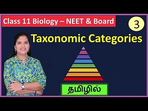 Taxonomic Categories - The Living World (NCERT)