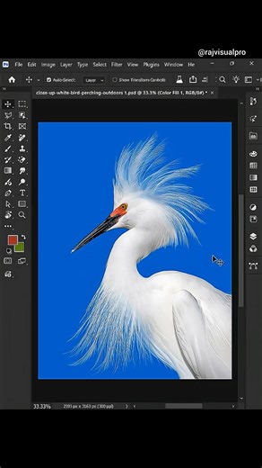 Fix Background Removal Errors Like a PRO 😎 Photoshop 2026
