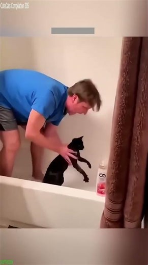Grumpy Cat dances like crazy - Animal Show 😱 OMG!