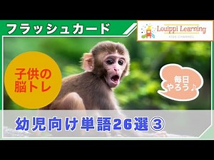 ☆ English ☆ [26 words for toddlers ③] Flashcards Education starting from 0 to 3 years old