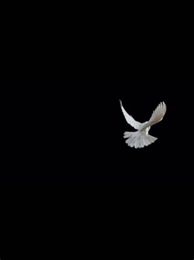امدر دي كده - اغاني سودانية مشهورة