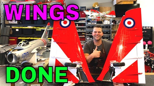 Skymaster XXL – 13.75 Hawk Wings Complete with Custom Light Lenses