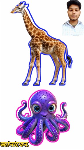 Akbar Ali on Instagram: "Jibone to anok challenge korechan ai khela ta kore dekhan jihaaf o octopus ar shadow ke valo vabe rakho 🕹️ #animal #octopus #discovery #populargame #foryou"
